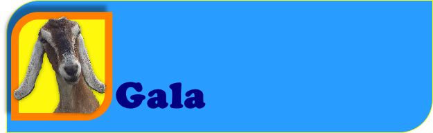 Gala