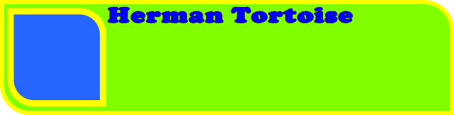 Herman Tortoise