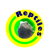 Reptiles